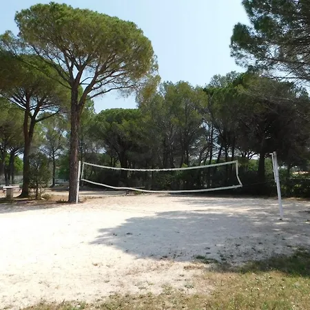 Apartment Charming T2 Domaine De Valescure Air-conditioned Parking Swimming Pool Saint-Raphael (Var)